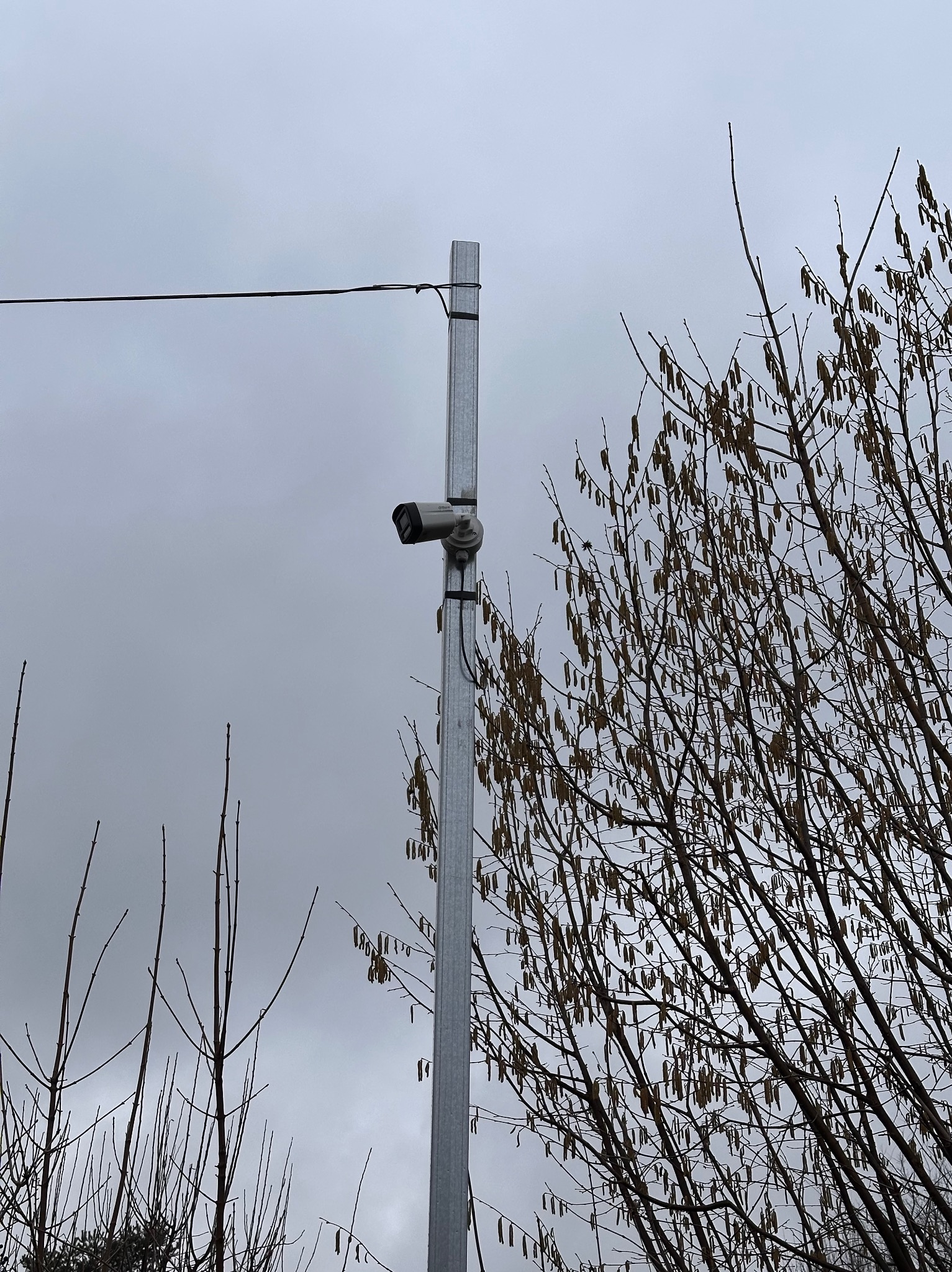 Kamera monitoringu zamontowana na metalowym słupie na tle pochmurnego nieba i gałęzi drzew z brązowymi kwiatostanami.