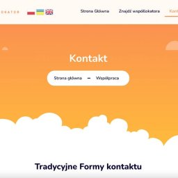 Tworzenie stron internetowych Tychy 4