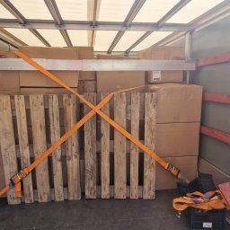 Transport busem Gdynia 1