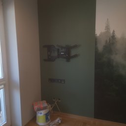 Usługi ogulnobudowlane - Pokój po częściowym malowaniu: jedna ściana zielona, druga z fototapetą leśną, widoczny uchwyt do telewizora, puszka z farbą i wystające kable.