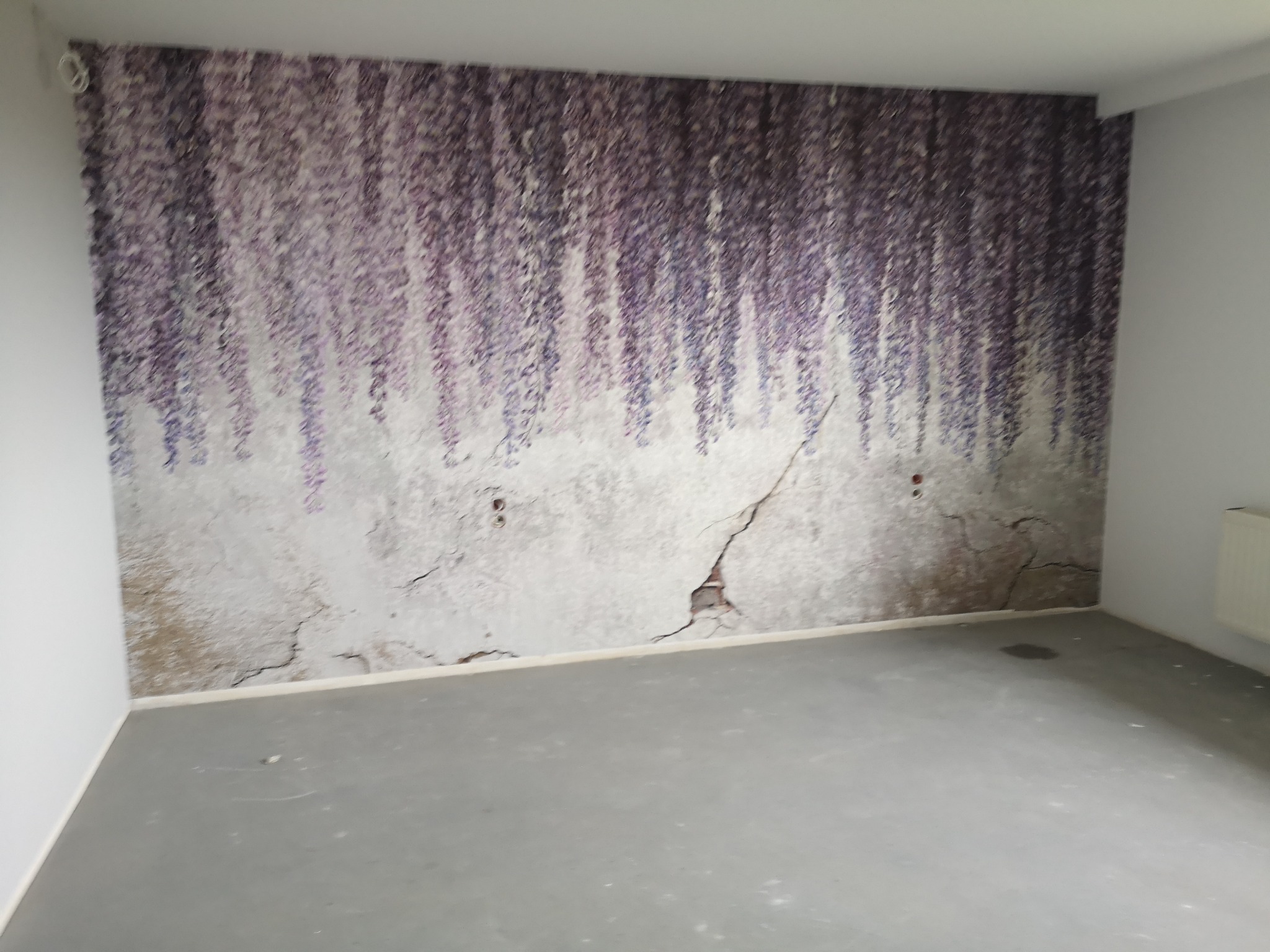 Pusty pokój z szarą podłogą i ścianą pokrytą tapetą imitującą wisterię i spękaną starą strukturę, widoczne ślady po gniazdkach elektrycznych i pęknięcia na tapecie.