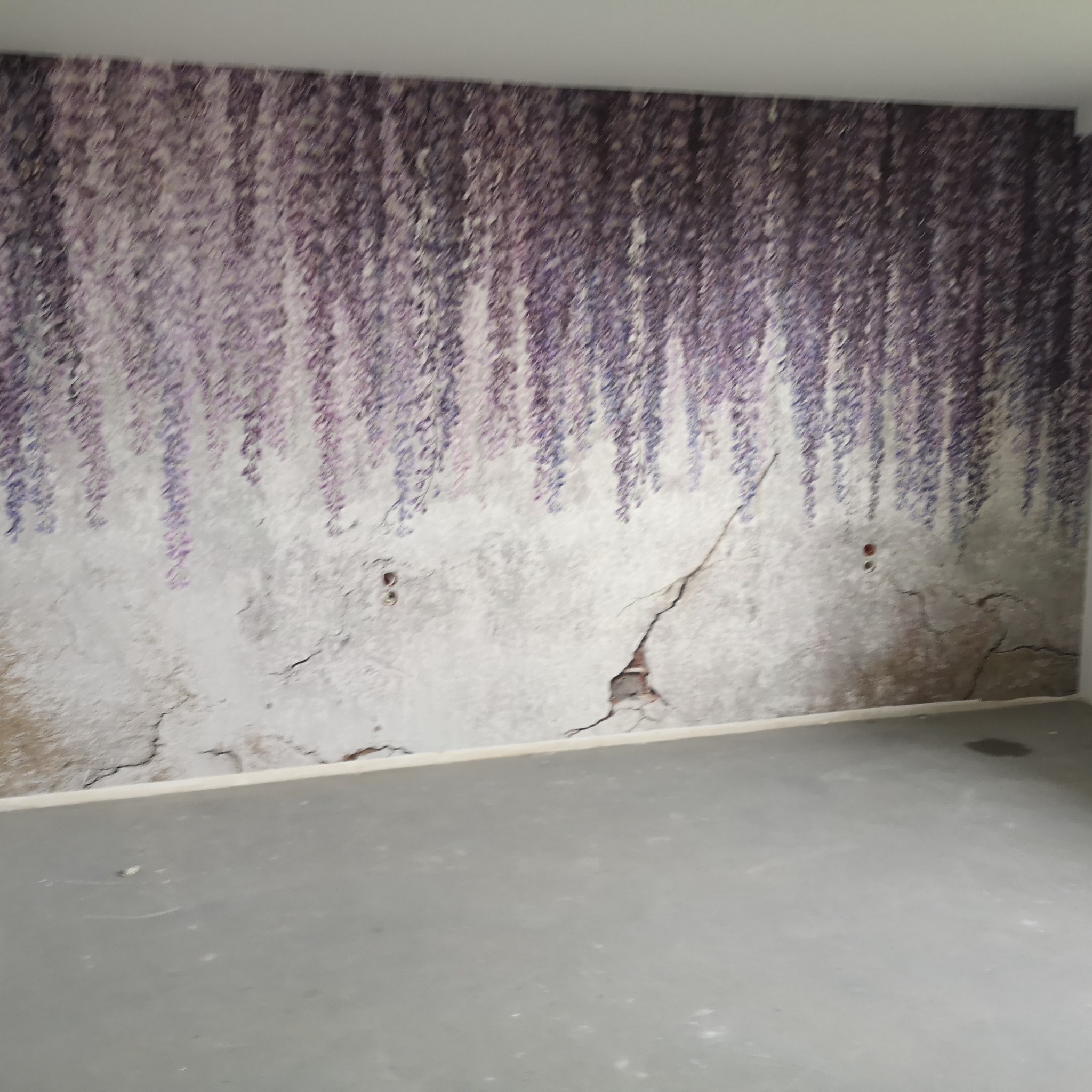 Ściana z pęknięciami i dziurami, częściowo pokryta tapetą w motywie kwitnącej glicynii, surowy beton na podłodze, widoczne gniazdka elektryczne.