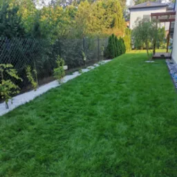 Zadbany trawnik z rolki, obrzeża z białego kamienia, rząd małych drzewek wzdłuż ogrodzenia z siatki. W tle drzewa i fragment domu.