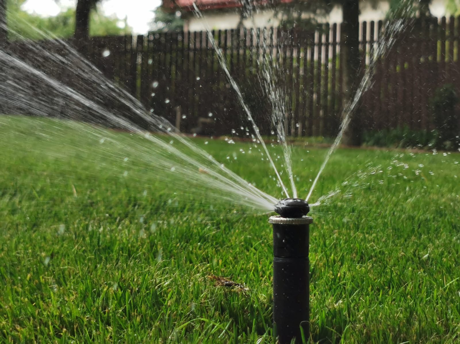 Działający zraszacz rotacyjny nawadnia soczystą, zieloną trawę na tle drewnianego płotu. Woda rozpryskuje się promieniście, tworząc efektowny wzór.