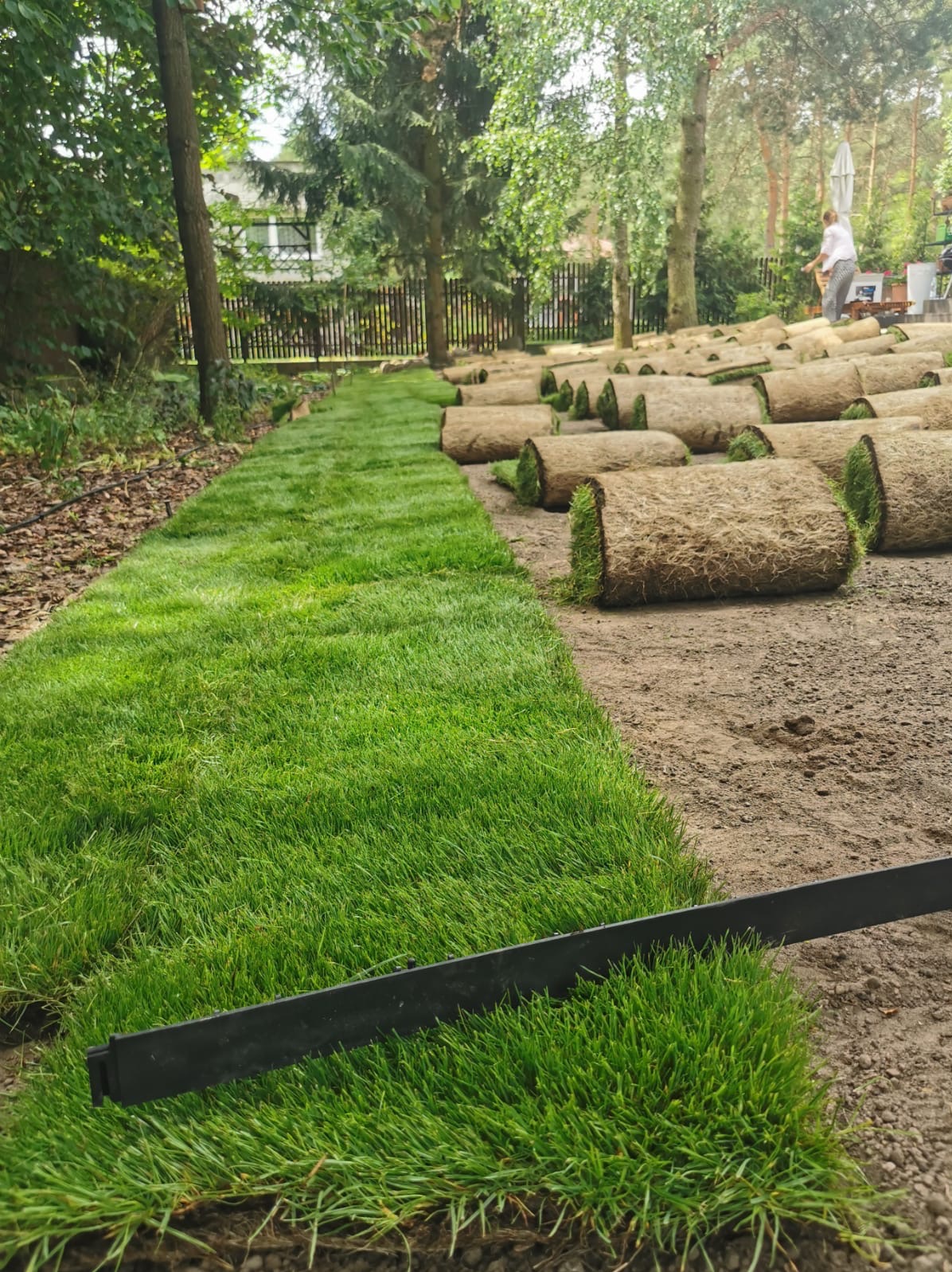 Rozwinięta trawa z rolki na przygotowanym terenie, widoczne nierozłożone rolki i czarna listwa krawężnikowa. Praca w toku, zielona trawa kontrastuje z brązową glebą.
