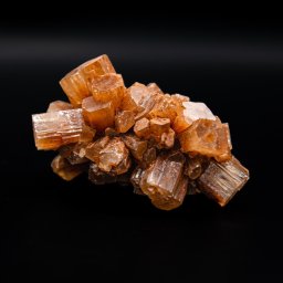 Sesja rodzinna Kraków 2