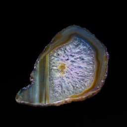 Sesja rodzinna Kraków 3