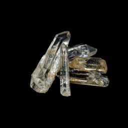 Sesja rodzinna Kraków 4