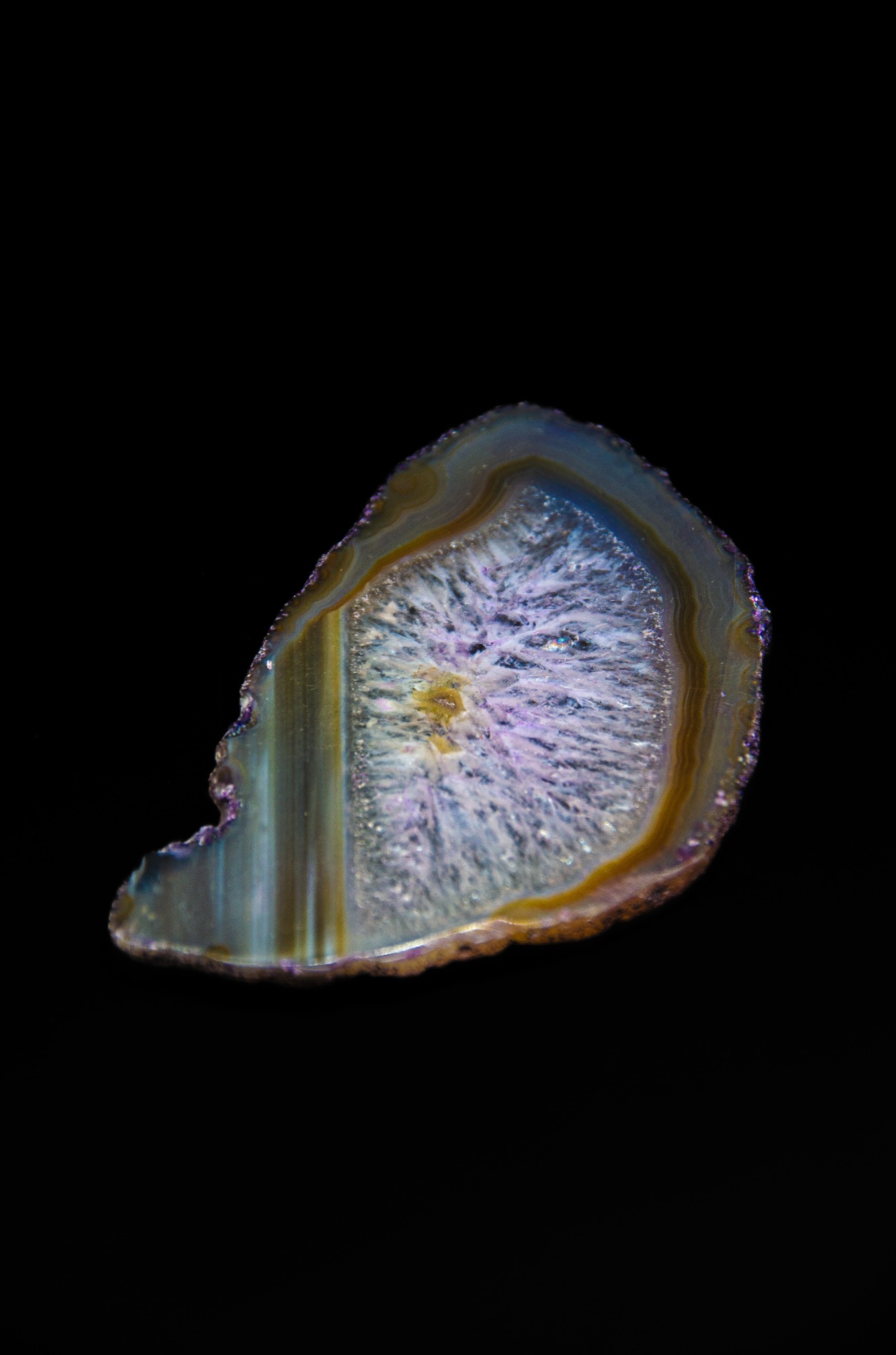 Przekrój agatu z koncentrycznymi warstwami w odcieniach szarości, błękitu, fioletu i brązu, wyeksponowany na czarnym tle.