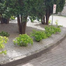 Nasadzenia i utrzymanie terenów zielonych.