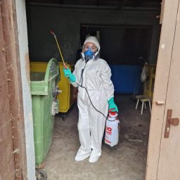 Royal Clean Sp. z o.o. - Doskonałe Sadzenie Roślin Rzeszów