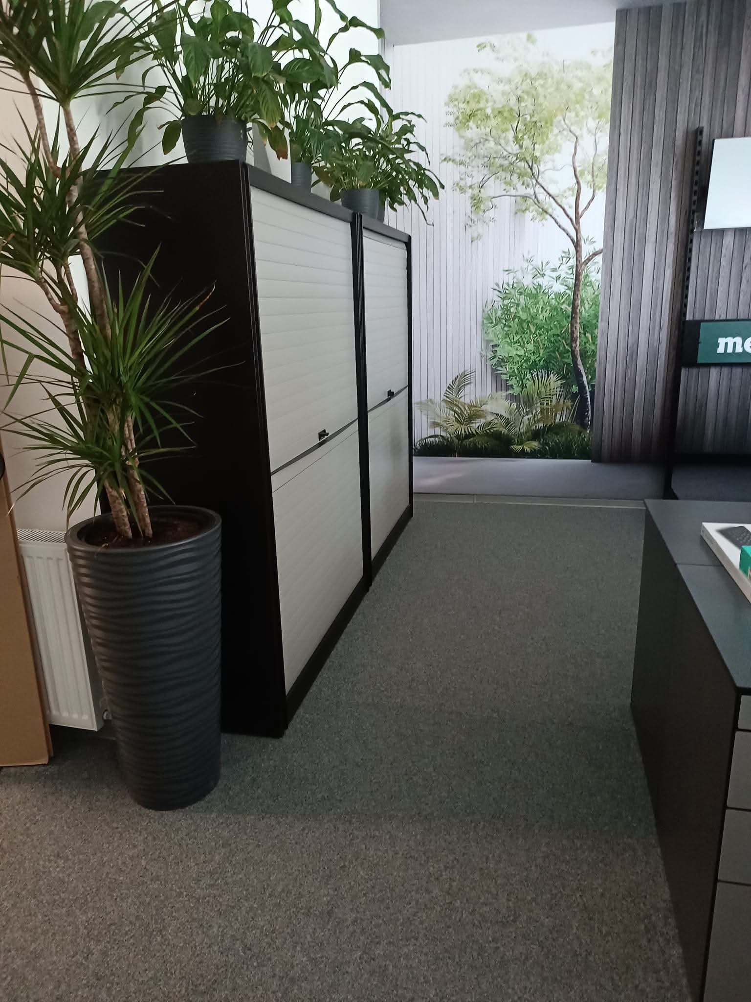 Wnętrze biura po sprzątaniu: czysta podłoga, zadbane rośliny doniczkowe na szafkach z roletami, fototapeta z motywem ogrodu. Porządek i świeżość.