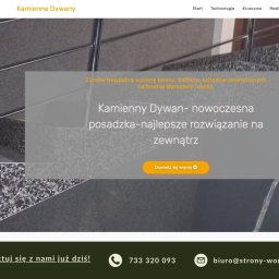 Strona Fest Kamienne Dywany, estetyczna i intuicyjna, oferuje pełne informacje o dekoracyjnych posadzkach kamiennych oraz szybki kontakt.