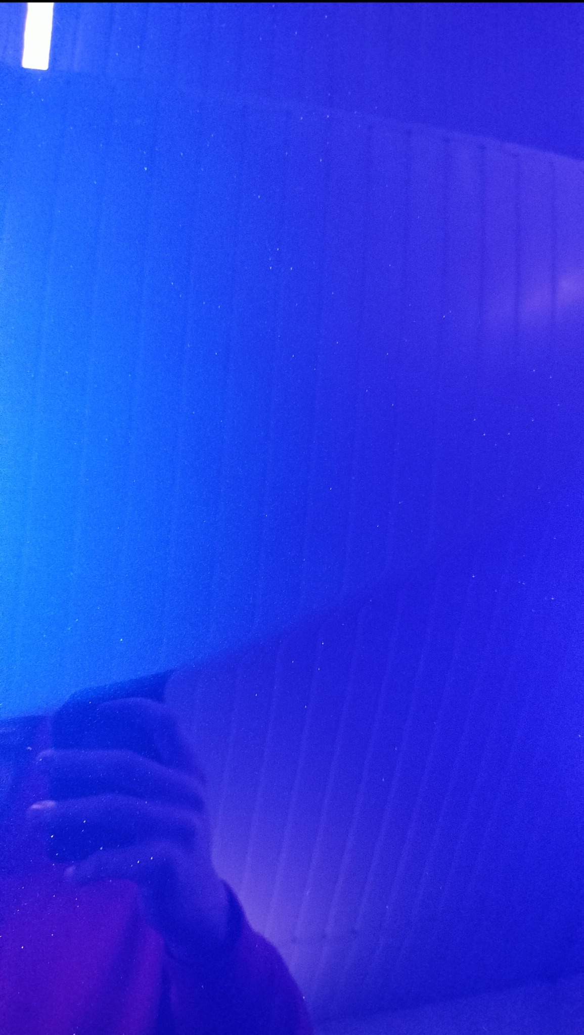 Błyszcząca, intensywnie niebieska powierzchnia tapicerki z widocznymi drobnymi zabrudzeniami i odbiciem dłoni osoby trzymającej aparat.