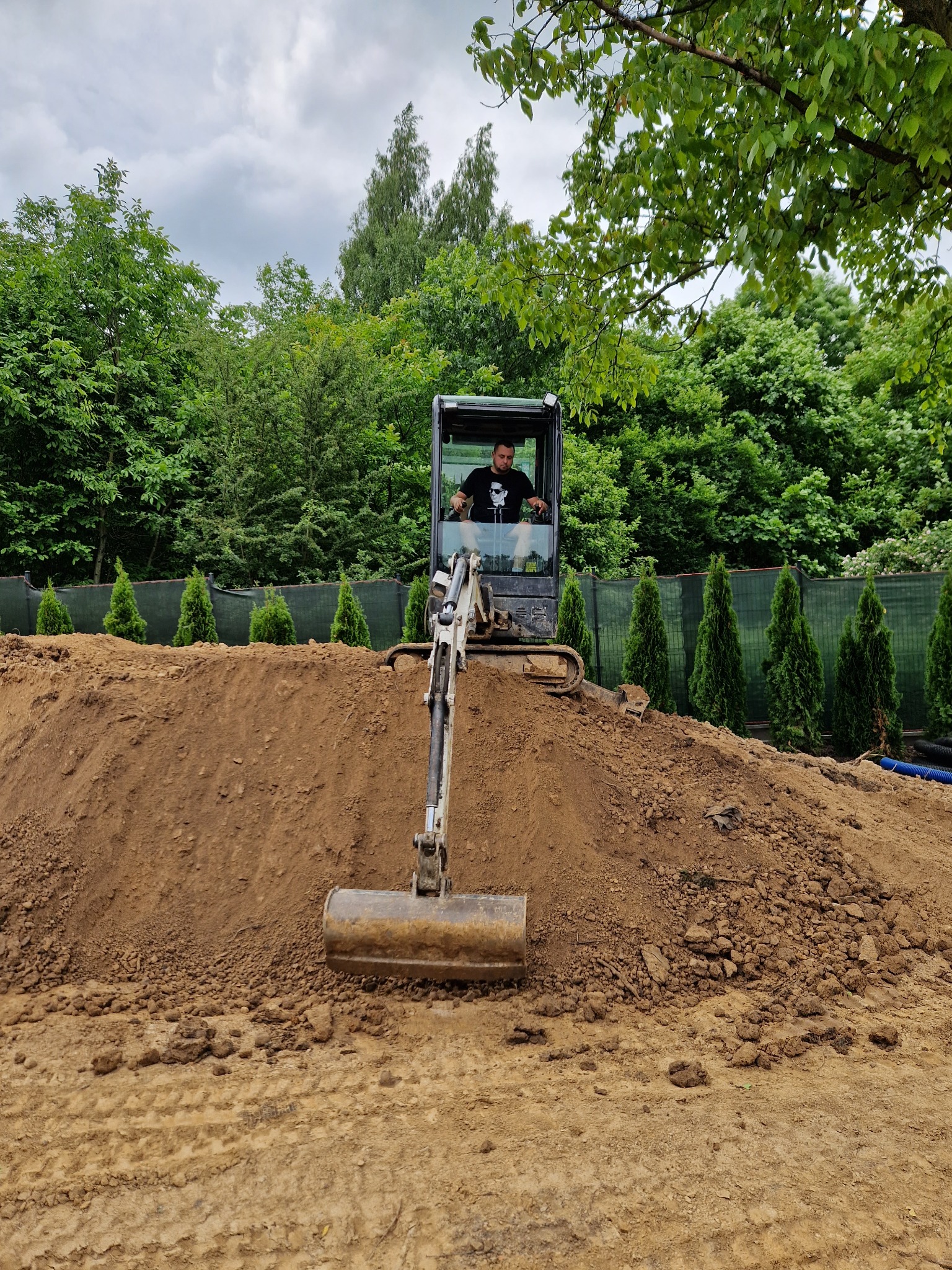 Operator w minikoparce pracuje na kopcu ziemi, w tle widoczne tuje i zielone drzewa.