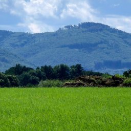 Sprzedaż mieszkania Czechowice-Dziedzice 1