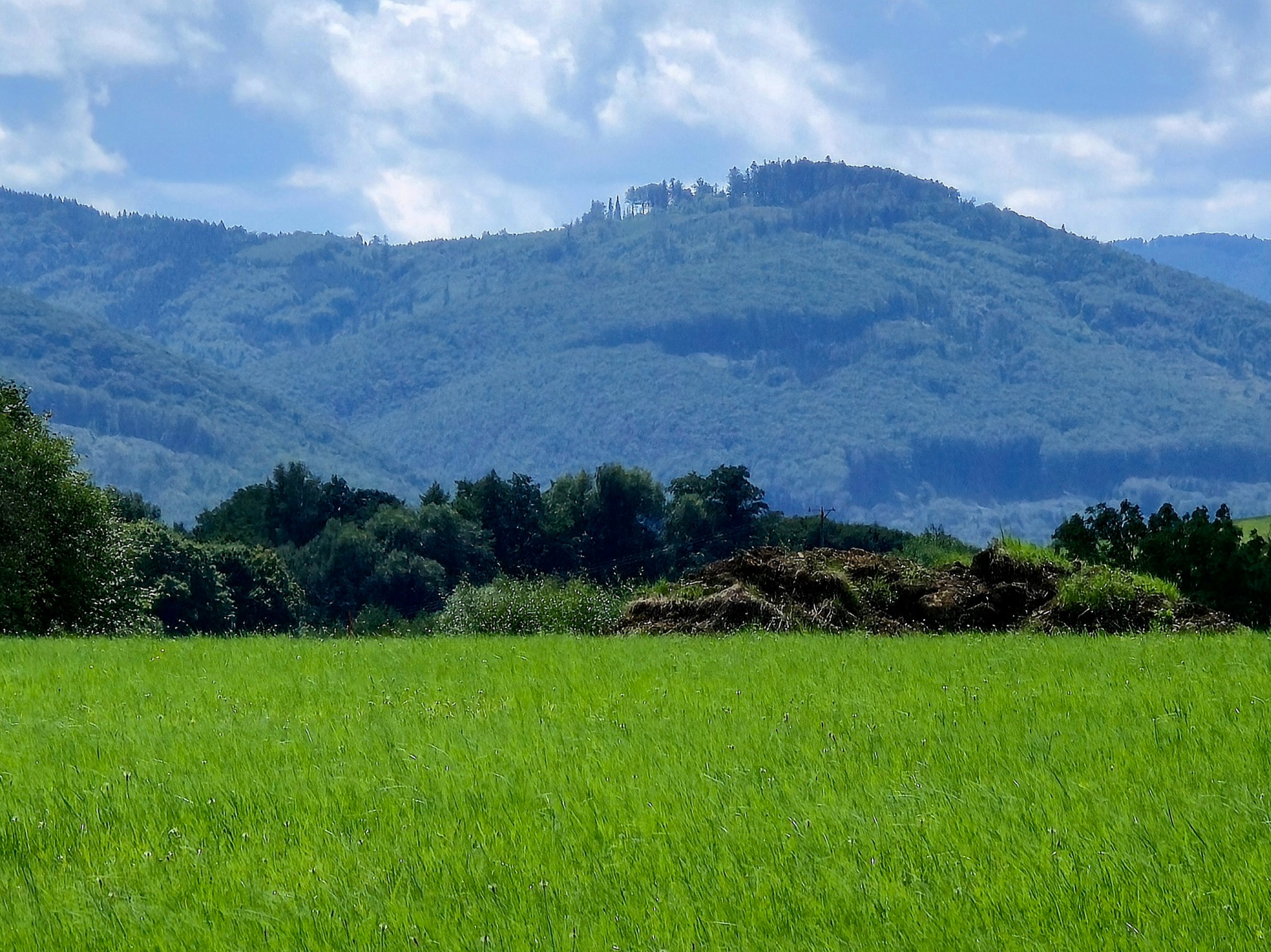 Rozległe, zielone pole z górskim krajobrazem w tle pod błękitnym niebem z chmurami. W oddali widoczne drzewa i wzgórza.