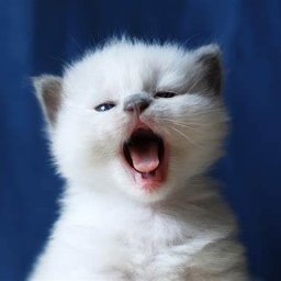 olaf prasowski - Copywriter Warszawa