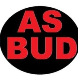 AS-BUD - Ocieplanie Domów Wągrowiec