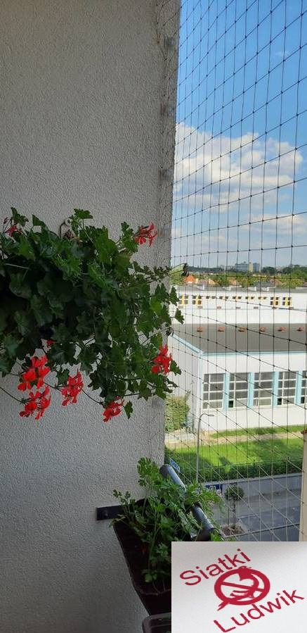 Zamontowana siatka ochronna na balkonie, zabezpieczająca przed gołębiami, widok z bliska z kwiatami w doniczce na pierwszym planie, w tle budynki i błękitne niebo.