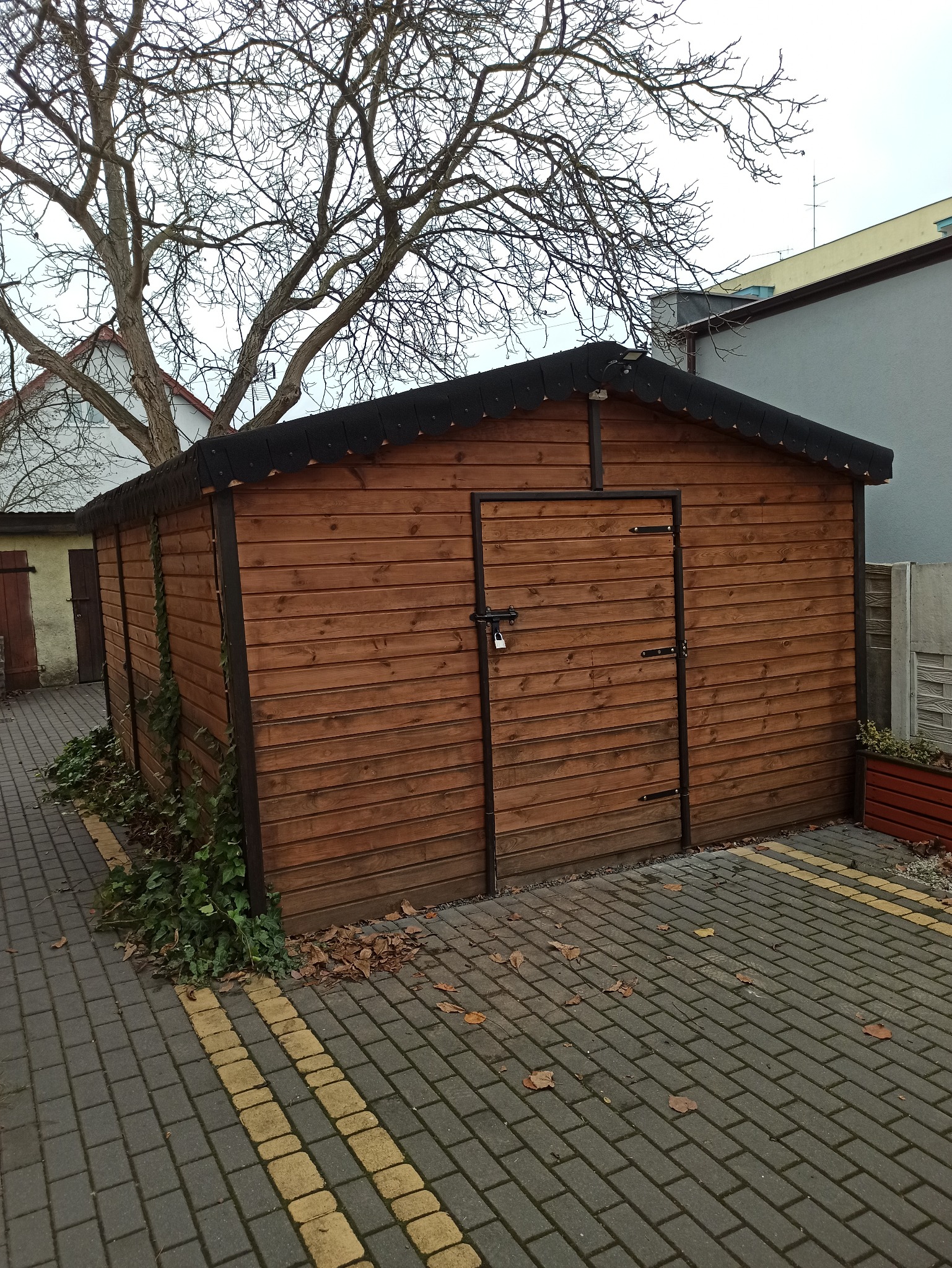 Drewniana budowla gospodarcza z czarnym dachem, zabezpieczona kłódką, obok kostki brukowej z żółtymi liniami i opadłymi liśćmi, częściowo porośnięta bluszczem.