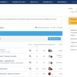 Tworzenie stron internetowych Toruń 3