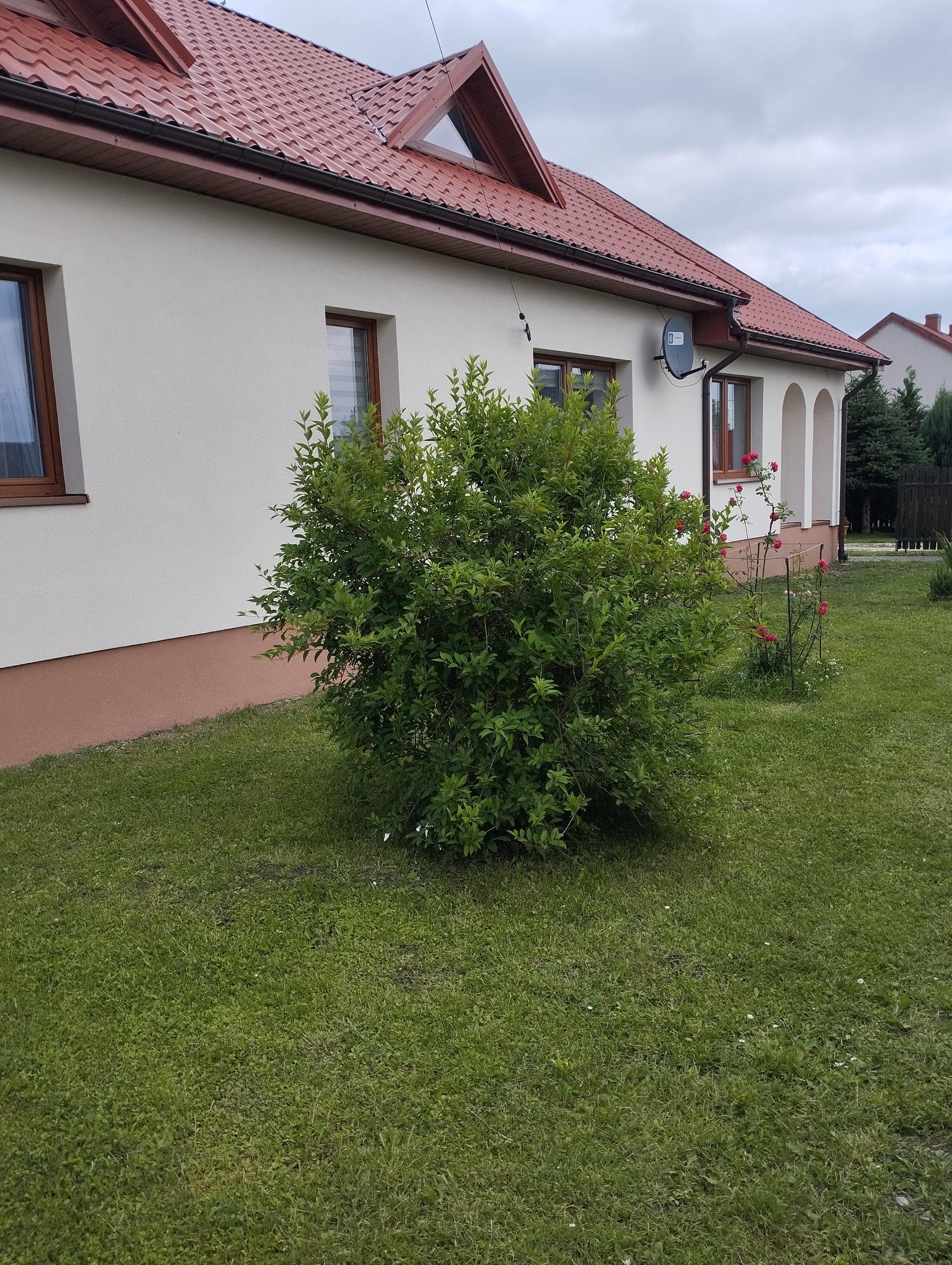 Jasny dom jednorodzinny z czerwoną dachówką, widoczny fragment elewacji z brązowymi oknami, brązową podmurówką, krzewem i satelitą na ścianie.