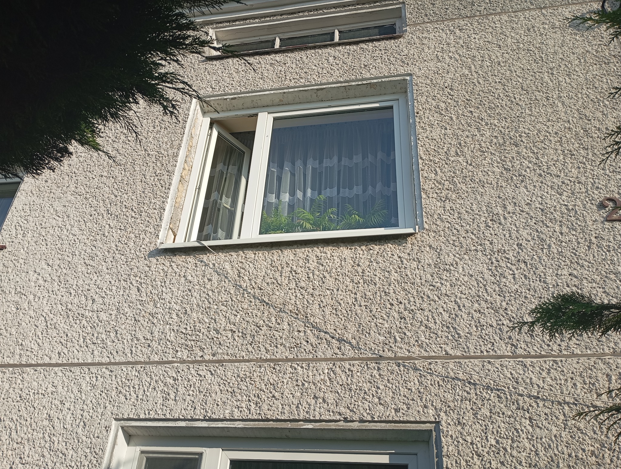 Fragment elewacji budynku z otwartym oknem, w którym widać firankę i roślinę doniczkową, z widocznym numerem domu i obrzeżem drzewa po prawej stronie.