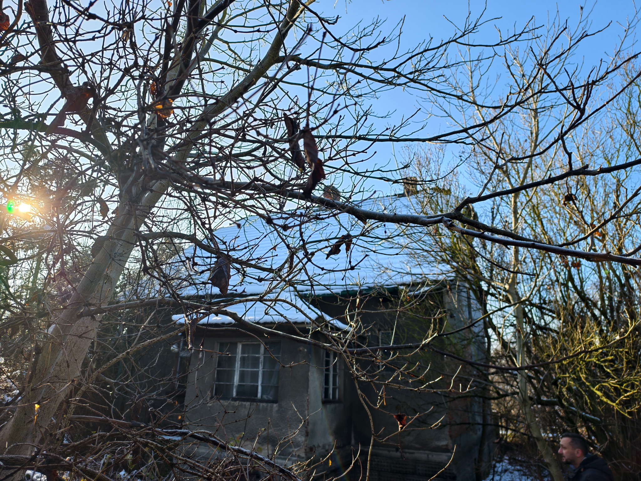 Stary, zaniedbany dom z oknami, częściowo zasłonięty przez gałęzie drzew bez liści, w zimowej scenerii z resztkami śniegu na dachu. W tle błękitne niebo.