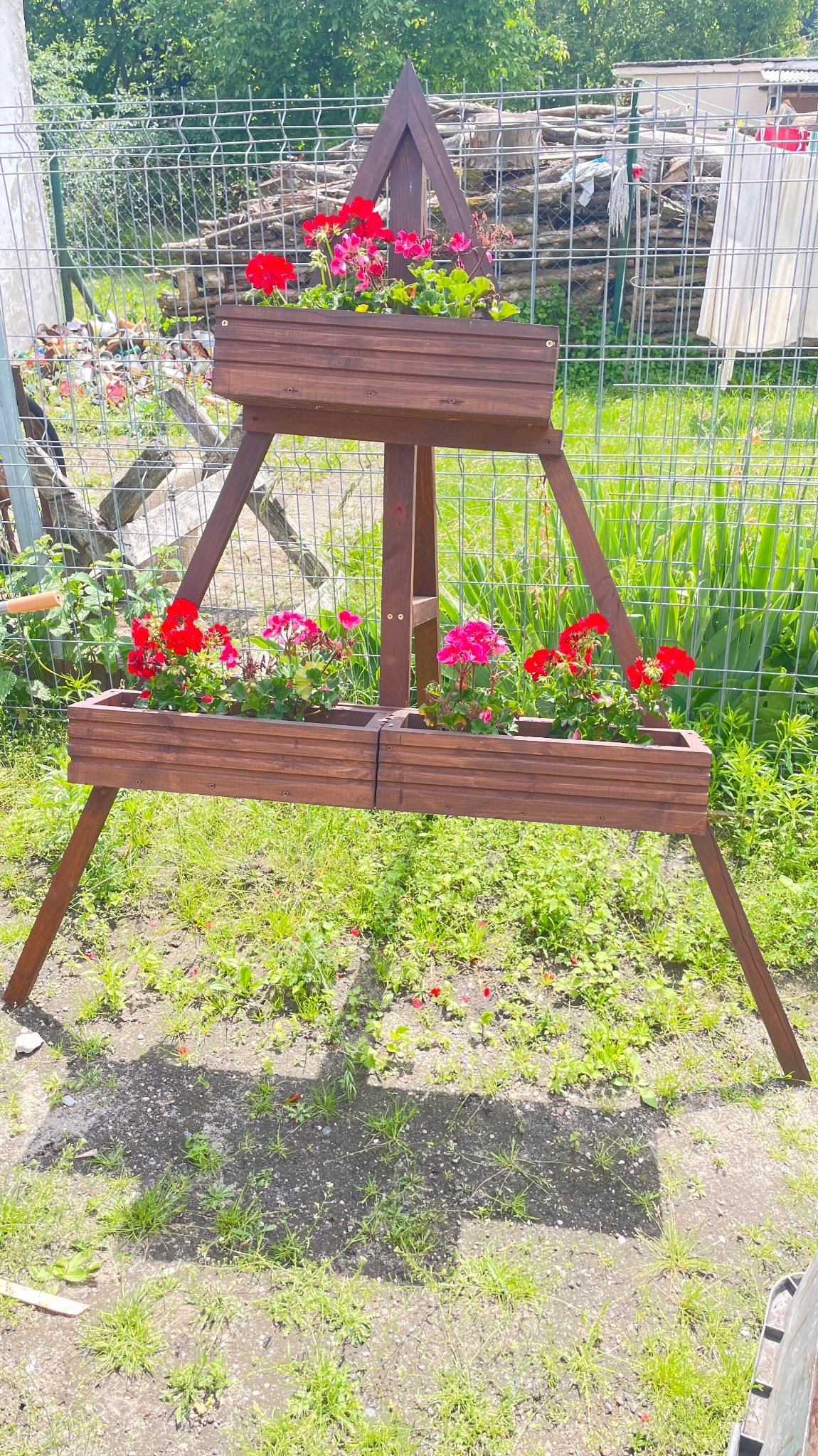 Drewniany kwietnik na nóżkach w kształcie trójkąta, wypełniony czerwonymi i różowymi pelargoniami, na tle trawnika i ogrodzenia z siatki.