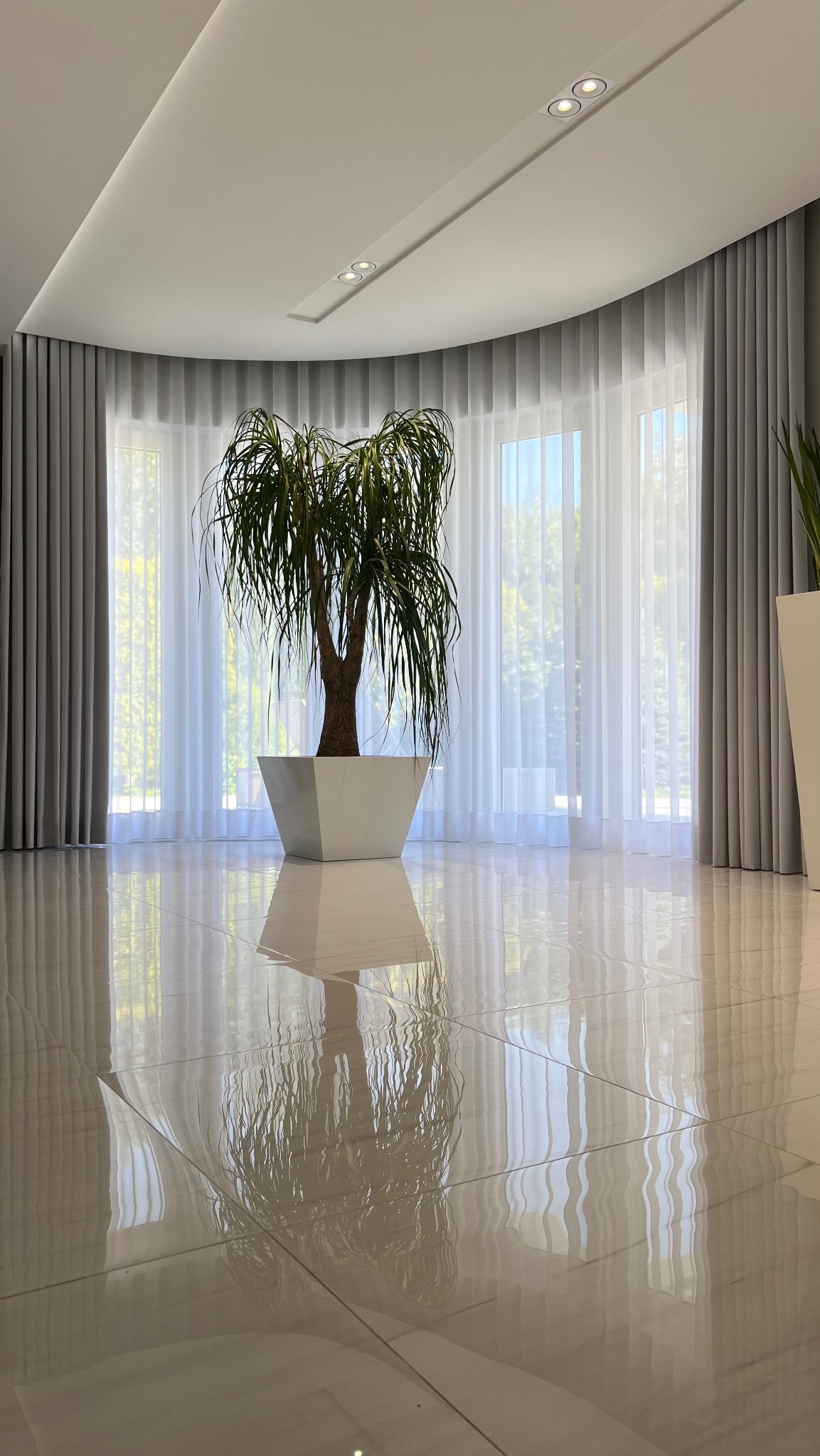 Eleganckie szare zasłony w nowoczesnym salonie z dużym oknem, przez które wpada naturalne światło, odbijające się w błyszczącej, jasnej podłodze; na pierwszym planie duża roślina w białej donicy.