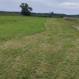MAT KARCZOWANIE TERENÓW ZIELONYCH - Adam Kaczmarek - Pole z częściowo skoszoną trawą, widoczne ślady po koszeniu. W tle drzewa i pochmurne niebo. Ścieżka z wyjeżdżoną koleiną oddziela pole od dalszej części łąki.