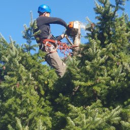 Koszenie trawy Czerwieńsk 1