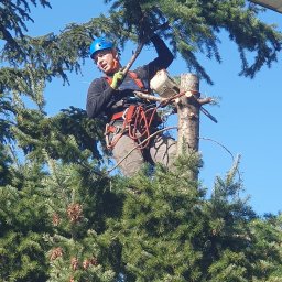 Koszenie trawy Czerwieńsk 3