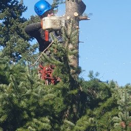 Koszenie trawy Czerwieńsk 4