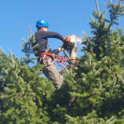 MAT KARCZOWANIE TERENÓW ZIELONYCH - Adam Kaczmarek