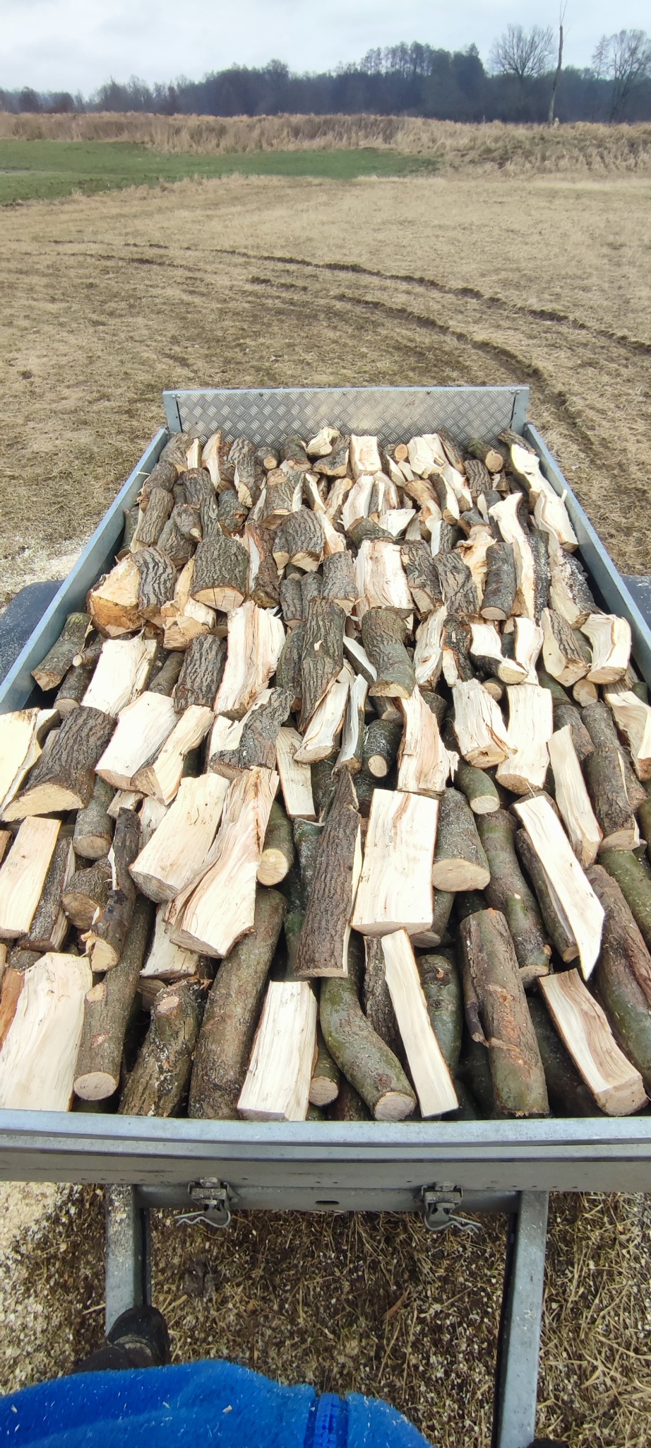 Przyczepa wypełniona pociętym drewnem liściastym na tle pola i drzew. Drewno przygotowane do transportu lub składowania, widoczne sęki i kora.