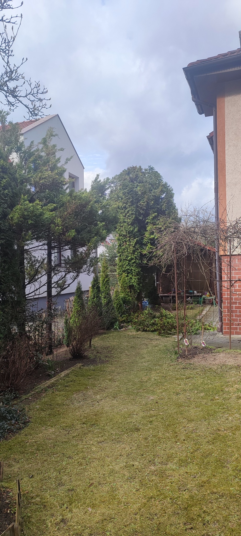Zadbany ogród przydomowy z równo przystrzyżonym trawnikiem, tujami i metalową pergolą. Widoczne dwa budynki mieszkalne w tle, pochmurne niebo.