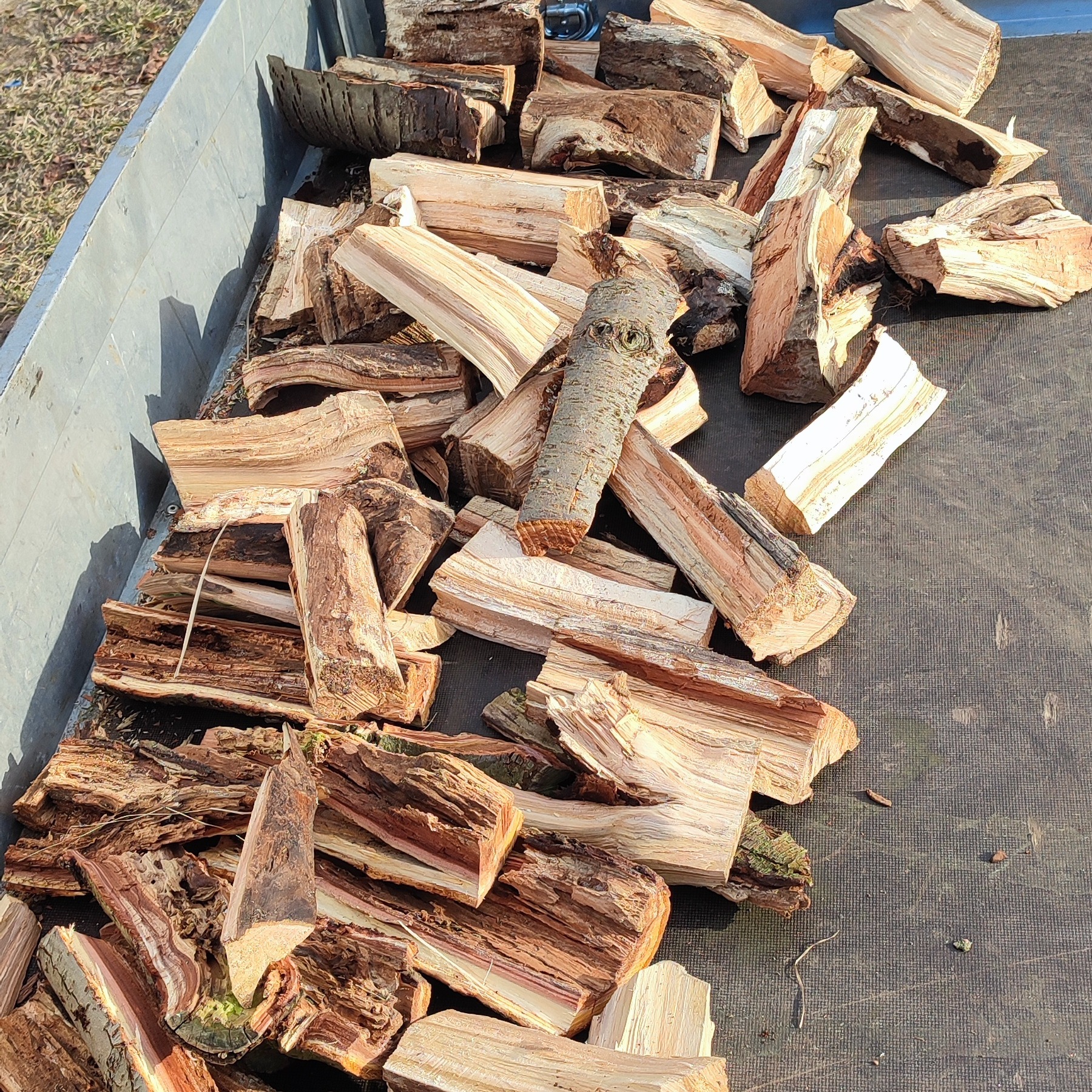 Drewno kominkowe w przyczepie: pocięte kawałki drewna z widoczną korą i słojami, przygotowane do sezonowania lub transportu, w metalowej skrzyni przyczepy.