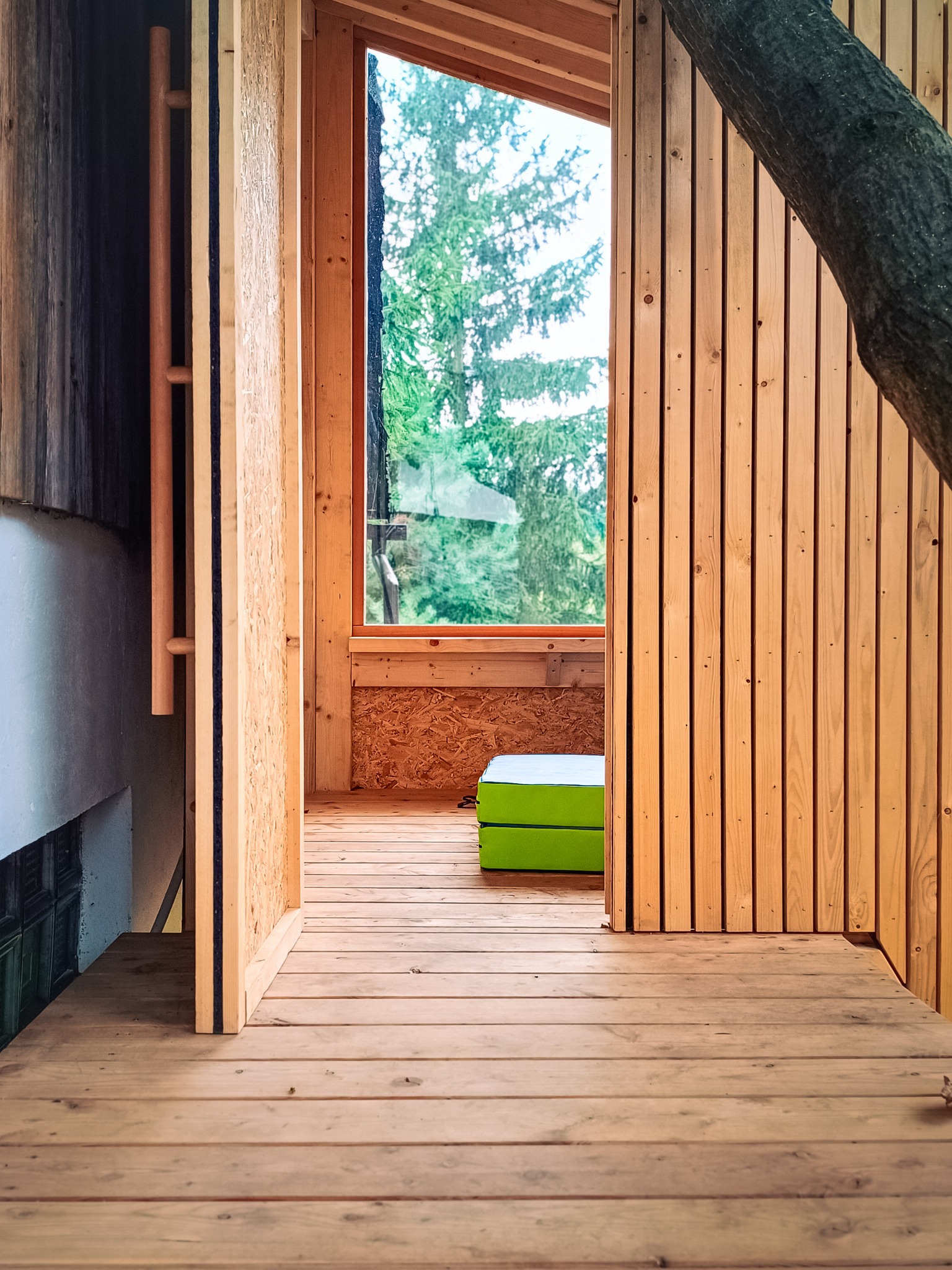 Wnętrze nowoczesnej konstrukcji z drewna, z widocznym fragmentem pnia drzewa przechodzącego przez ścianę i zielonym siedziskiem w środku, widok z zewnątrz przez otwarte drzwi.