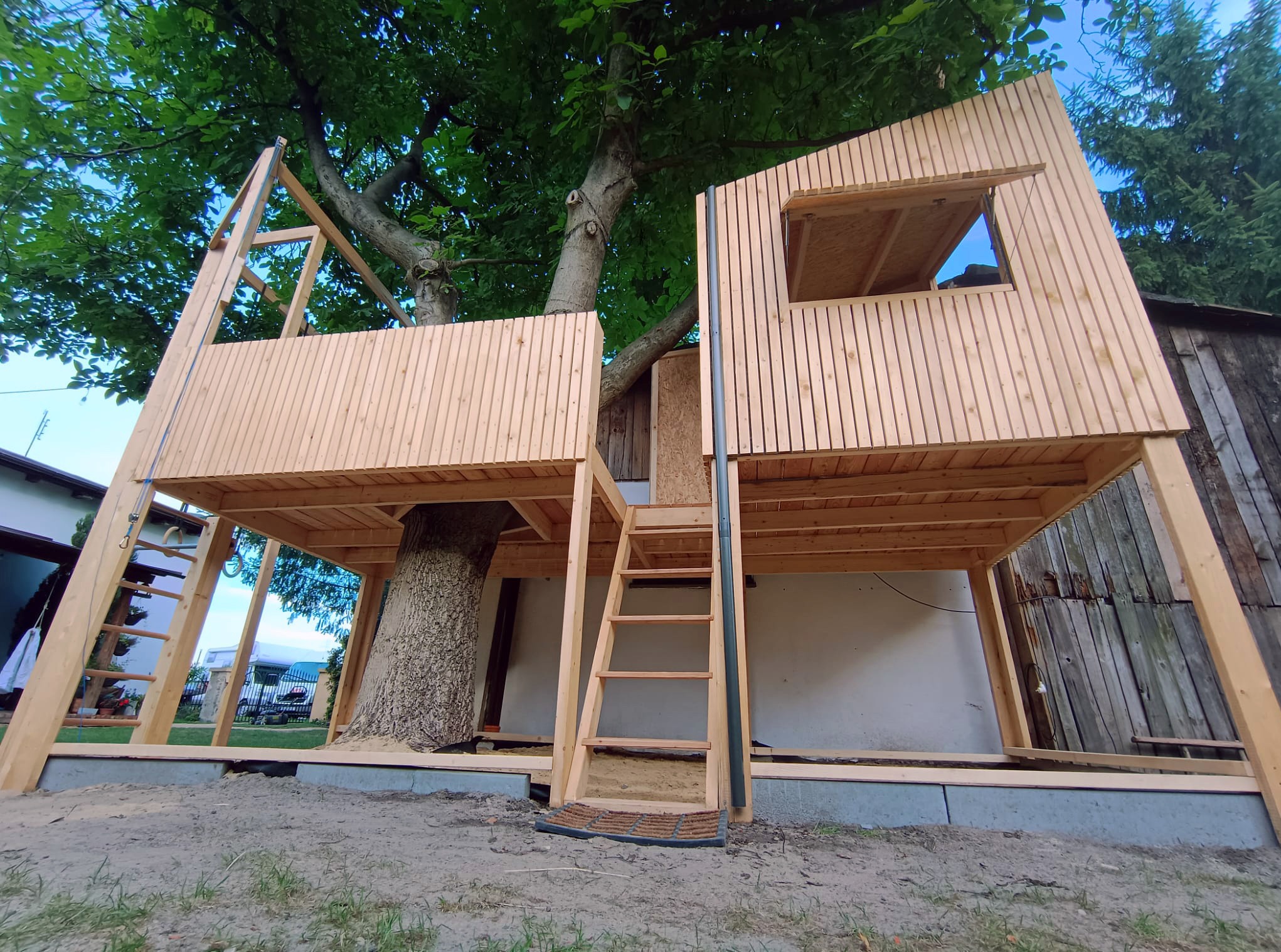 Szkielet drewnianego domku na drzewie w trakcie budowy, z widocznymi schodami i fragmentami ścian z desek, osadzony wokół pnia drzewa.
