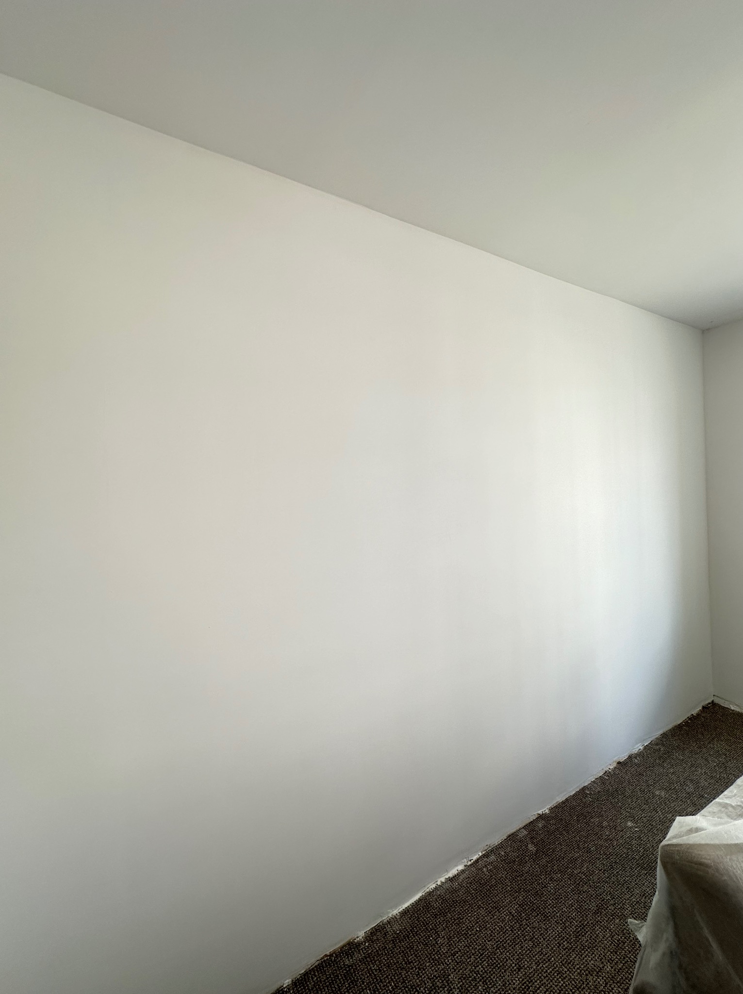 Świeżo pomalowana na biało ściana w pokoju z brązową wykładziną, widoczne zabezpieczenia podłogi przy ścianie.