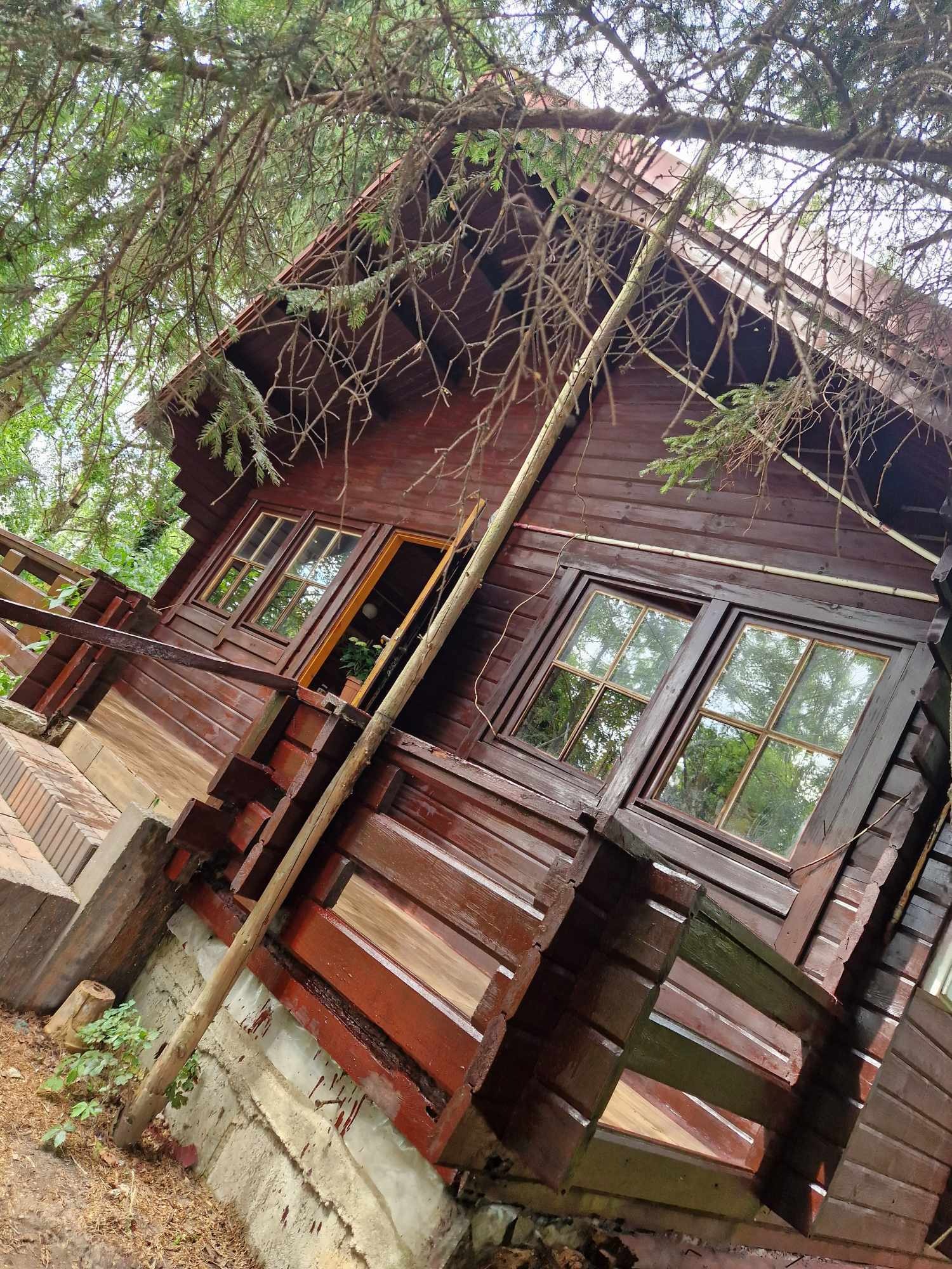 Drewniany domek letniskowy z brązowymi ścianami, widziany z dołu spod gałęzi drzewa, z widocznymi oknami i otwartymi drzwiami balkonowymi.