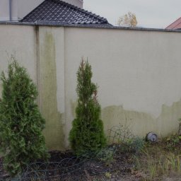 SolCare Nicola Danelczak - Fragment elewacji z widocznymi śladami po czyszczeniu, z zielonymi nalotami i trzema młodymi tujami wzdłuż ogrodzenia