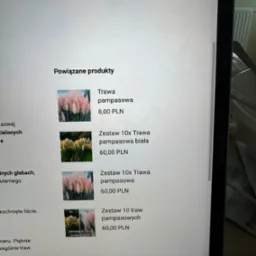 Powiązane produkty, najważniejsza część sklepów internetowych.