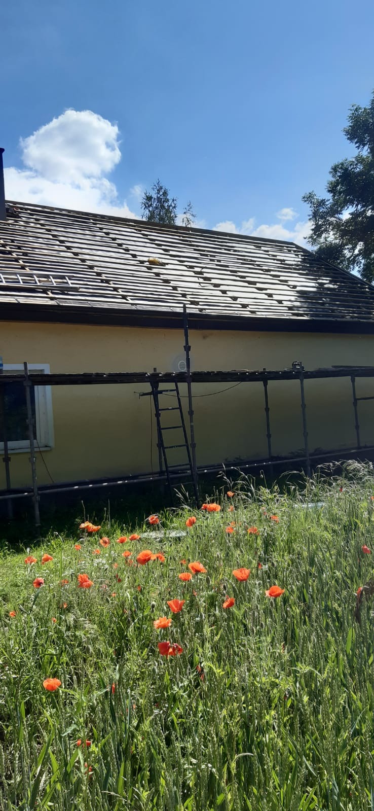 Dom w trakcie wymiany pokrycia dachowego, widoczne rusztowania i częściowo zdjęte dachówki, w tle łąka z makami.