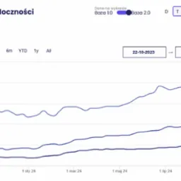 Efekt współpracy z klientem w zakresie pozycjonowania