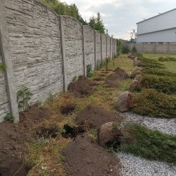 Posprzątamy to Marta Kaptur - 