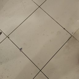 Tomasz Łuszczek - Brudna, biała podłoga z płytek ułożonych w karo. Widoczne drobne zabrudzenia, włosy i naklejka z jednorożcem. Potrzebne gruntowne sprzątanie.