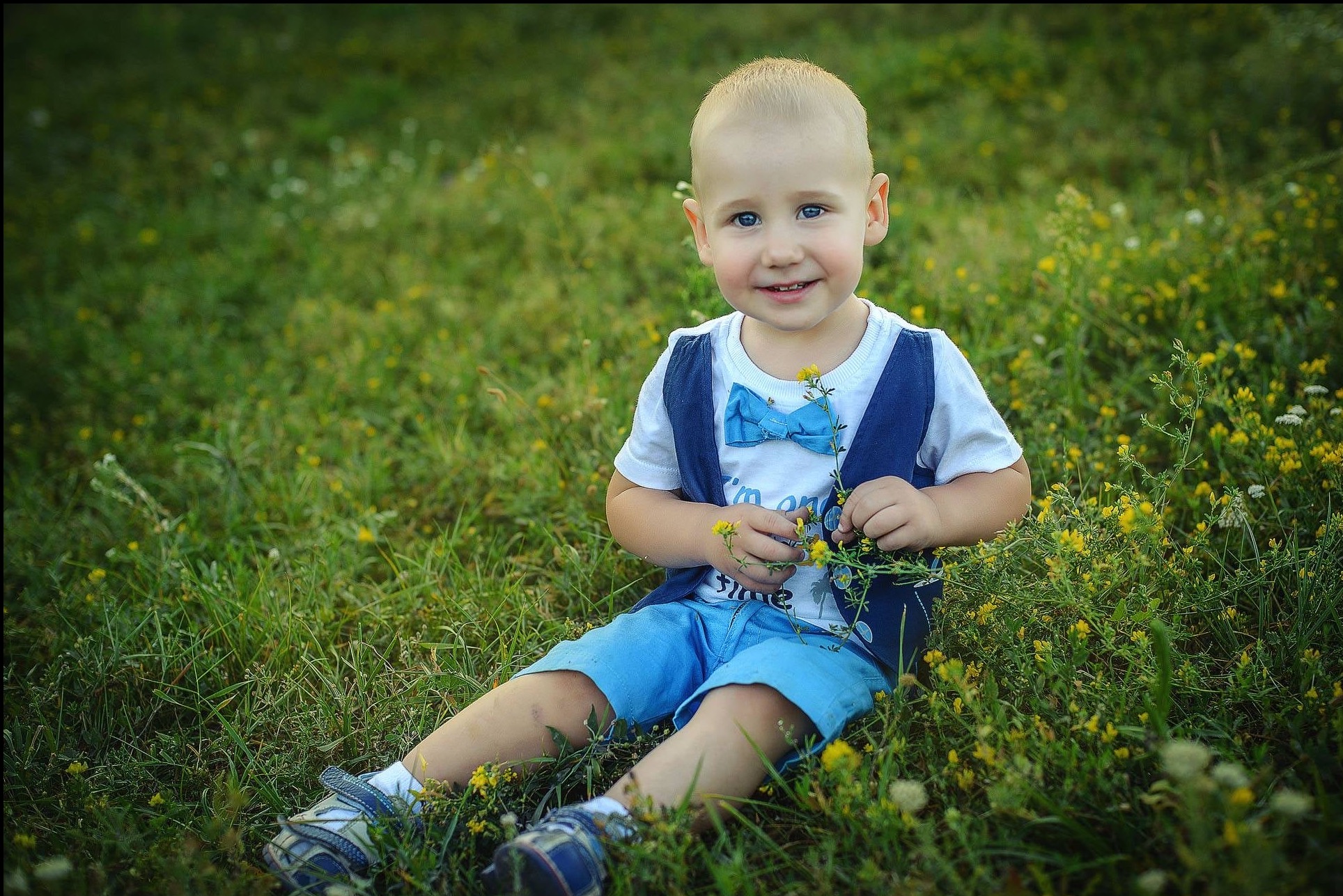Uśmiechnięty chłopiec w niebieskim ubranku siedzi na łące, trzymając żółte kwiatki. Sesja plenerowa w naturalnym świetle.